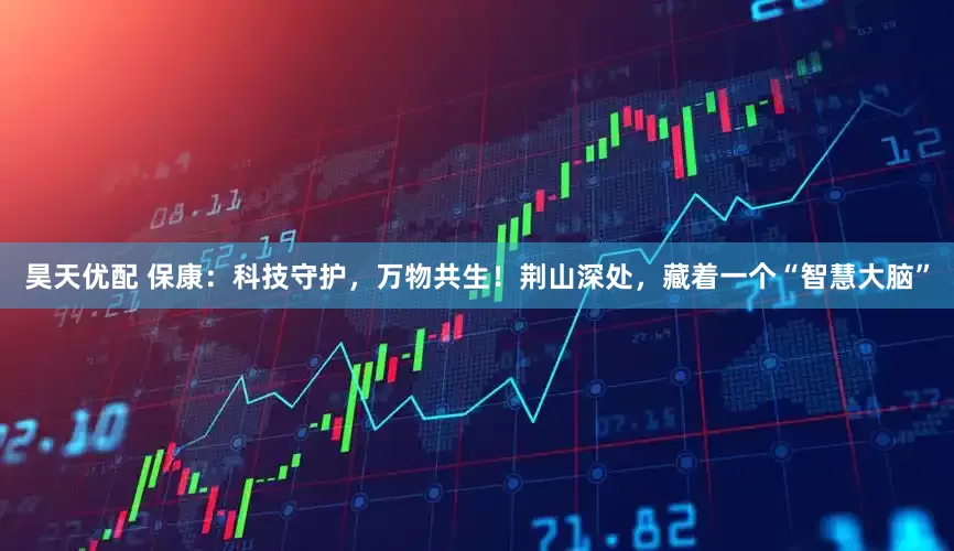 昊天优配 保康：科技守护，万物共生！荆山深处，藏着一个“智慧大脑”