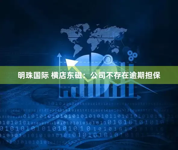 明珠国际 横店东磁：公司不存在逾期担保